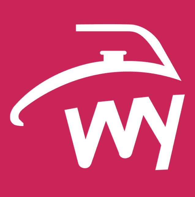 WE YOU Logo Icon
